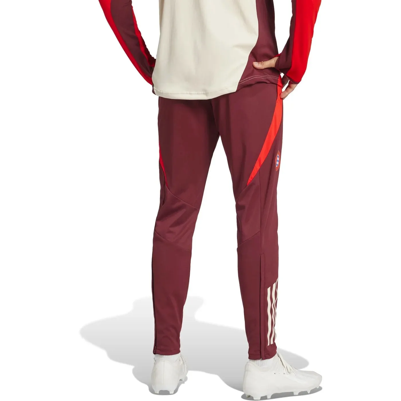 Bayern Munich UCL training technical tracksuit 2024/25 - Adidas