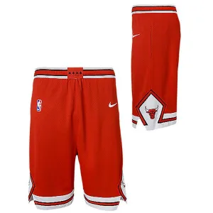 BOYS ICON SWINGMAN SHORT Short de basketball enfant NBA