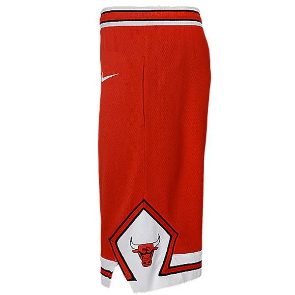 BOYS ICON SWINGMAN SHORT Short de basketball enfant NBA
