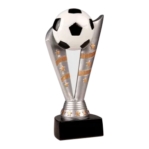 Fanfare Soccer Award