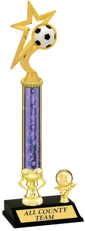 Gold Star Trophy
