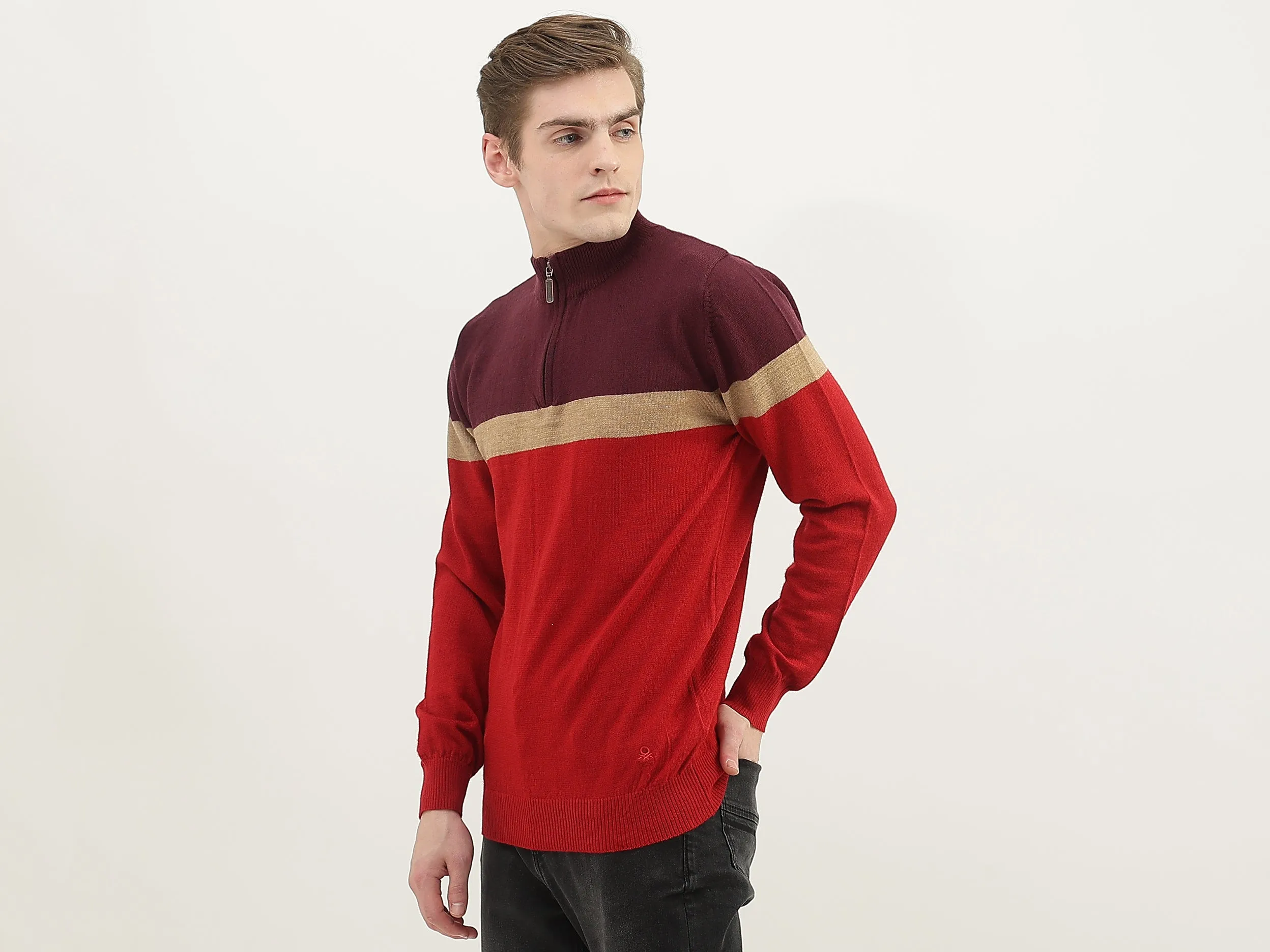 Men Colorblock High Neck Sweater
